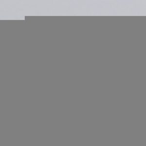 Oval 1.02ct D VVS1 Excellent Excellent Excellent None